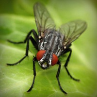 /album/vantopatcy/photolia-a01-jpg/