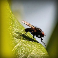 /album/vantopatcy/photolia-a04-jpg/