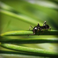 /album/vantopatcy/photolia-a05-jpg/