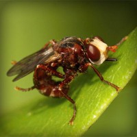 /album/vantopatcy/photolia-a06-jpg/