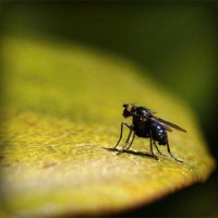 /album/vantopatcy/photolia-a07-jpg/